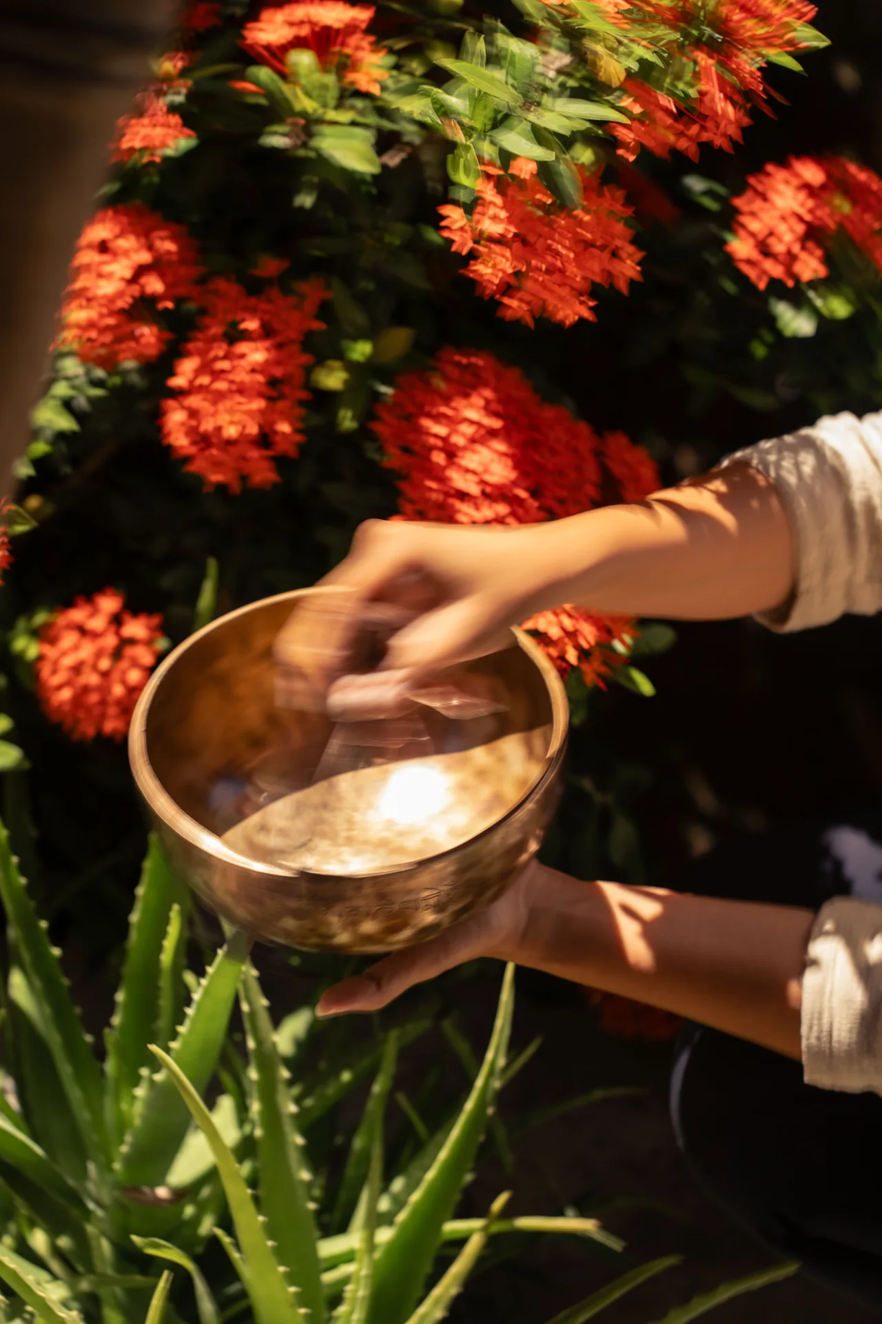 Sound bowl yoga session at Anima Shala, Lombok